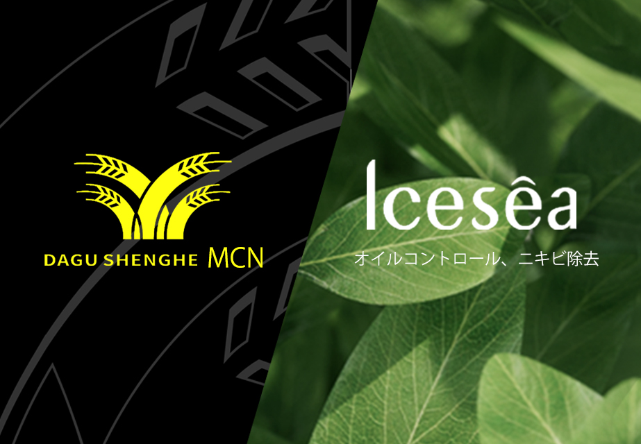 Icesea đã chính thứ