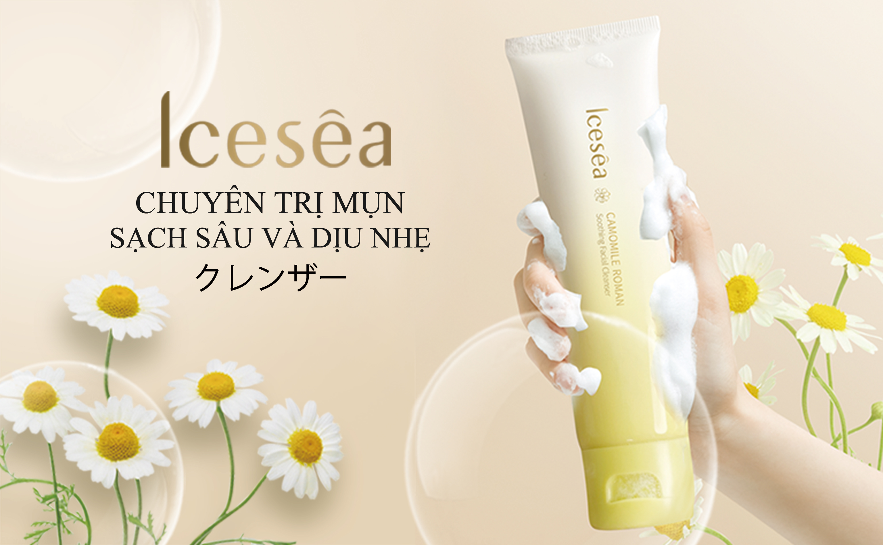 Sữa rửa mặt Chiết xu